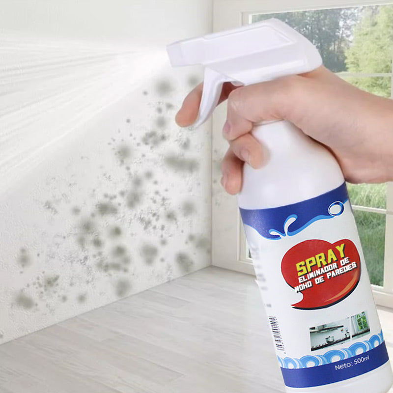 Spray antimoisissures pour murs60ml/500ml intectte