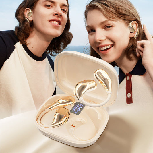 🔥Noël HiFi Casque Bluetooth étanche à crochet d’oreille - Achetez-en 2 et obtenez la livraison gratuite