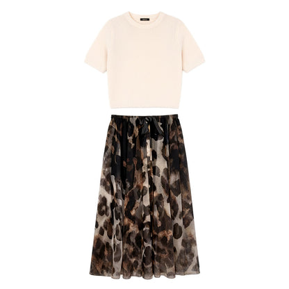 ❄️ Soldes d'hiver - 49 % de réduction 👗Ensemble deux pièces pour femme composé d'un pull et d'une jupe fluide à imprimé léopard