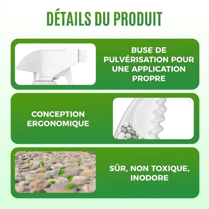 🌿 En direct de l'usine 🌿 Colle pour pierres paysagères — Séchage rapide, transparente et imperméable — ⏳ Offre à durée limitée ⏰