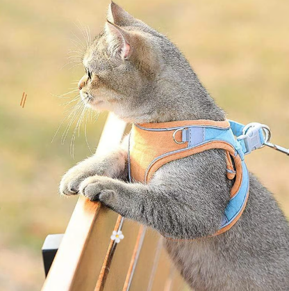 🐾 50% DE RÉDUCTION 🦺 Harnais réfléchissant une pièce – Respirant, rembourré & sécurisé – Pour chiens & chats, fermeture facile & ajustement confortable – idéal pour les promenades nocturnes 🌙