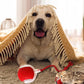 🐱🐶 Balle roulante automatique intelligente pour animaux de compagnie