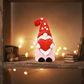 🧙 Collection Ludique à Personnaliser - Set de Petits Gnomes Décoratifs - Créez Votre Propre Histoire ❄️【Promo -50%】