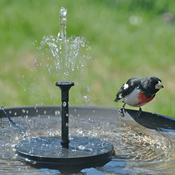 🔥Hot Sales 56% OFF🔥Fontaine solaire, pompe à eau submersible pour bain d'oiseaux avec 4 buses et panneau solaire de 1,4 W, idéale pour l'arrosage extérieur de bassins, piscines, jardins et aquariums.