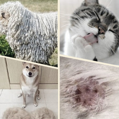 🐾✨ Brosse de Toilettage Double Face pour Animaux – Démêle & Polit en Un Temps 🐶🐱