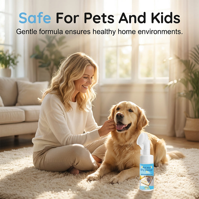 Nettoyant moussant sans eau pour tapis pour animaux de compagnie avec brosse