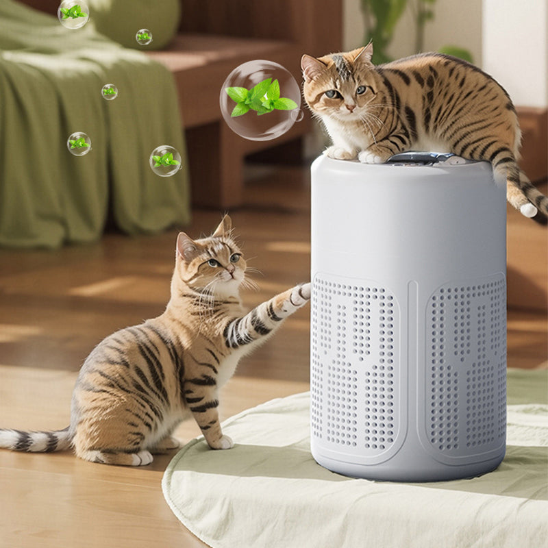 🌬️ 50 % DE RÉDUCTION! 🏠 Purificateur d'air pour la maison – Filtration multicouche, grande surface de couverture et fonctionnement ultra-silencieux ✨