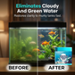 Pastilles Purifiantes Haute Efficacité pour Aquarium