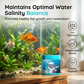 Pastilles Purifiantes Haute Efficacité pour Aquarium