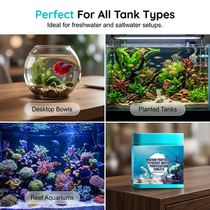 Pastilles Purifiantes Haute Efficacité pour Aquarium