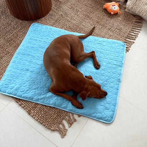 ❄️🐾Tapis rafraîchissant pour animaux (effet rafraîchissant 4 fois plus puissant)🐶 Un indispensable de l'été pour tous les propriétaires d'animaux