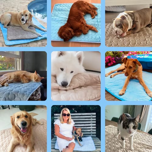❄️🐾Tapis rafraîchissant pour animaux (effet rafraîchissant 4 fois plus puissant)🐶 Un indispensable de l'été pour tous les propriétaires d'animaux