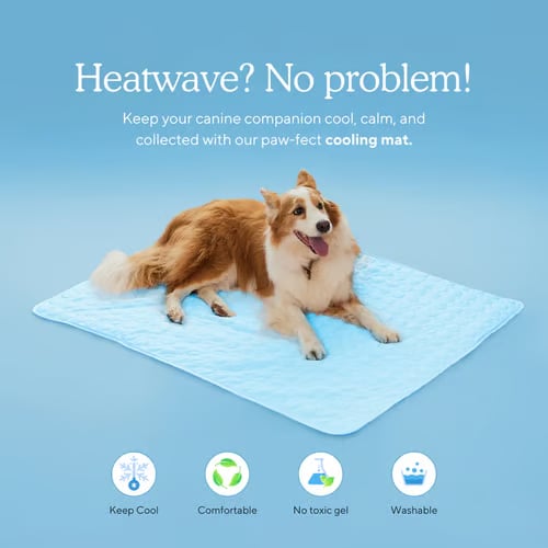 ❄️🐾Tapis rafraîchissant pour animaux (effet rafraîchissant 4 fois plus puissant)🐶 Un indispensable de l'été pour tous les propriétaires d'animaux