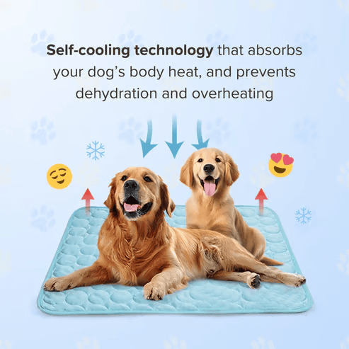 ❄️🐾Tapis rafraîchissant pour animaux (effet rafraîchissant 4 fois plus puissant)🐶 Un indispensable de l'été pour tous les propriétaires d'animaux