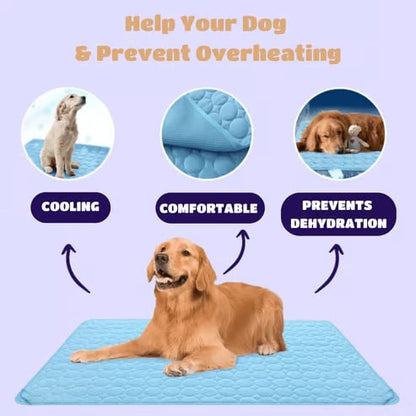 ❄️🐾Tapis rafraîchissant pour animaux (effet rafraîchissant 4 fois plus puissant)🐶 Un indispensable de l'été pour tous les propriétaires d'animaux