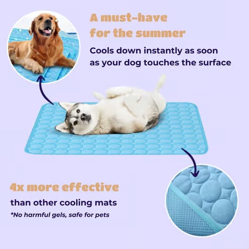 ❄️🐾Tapis rafraîchissant pour animaux (effet rafraîchissant 4 fois plus puissant)🐶 Un indispensable de l'été pour tous les propriétaires d'animaux