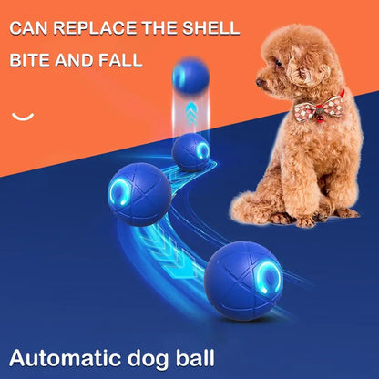 🥳VENTE CHAUDE 2026🥳💞50 000+ VENDUS !👵❤️ -50 % DE RÉDUCTION ! Balle Interactive Intelligente Rebondissante pour Animaux de Compagnie