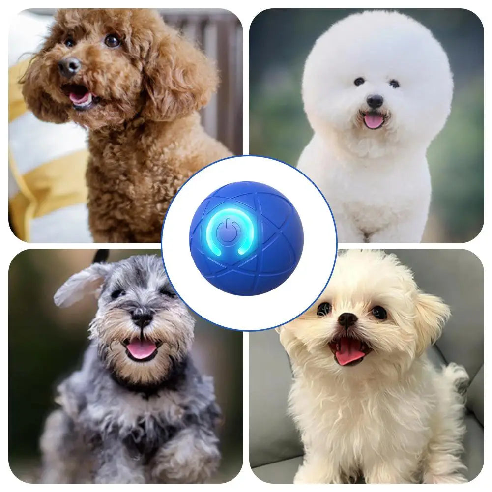 🥳VENTE CHAUDE 2026🥳💞50 000+ VENDUS !👵❤️ -50 % DE RÉDUCTION ! Balle Interactive Intelligente Rebondissante pour Animaux de Compagnie