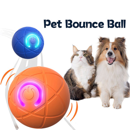 🥳VENTE CHAUDE 2026🥳💞50 000+ VENDUS !👵❤️ -50 % DE RÉDUCTION ! Balle Interactive Intelligente Rebondissante pour Animaux de Compagnie