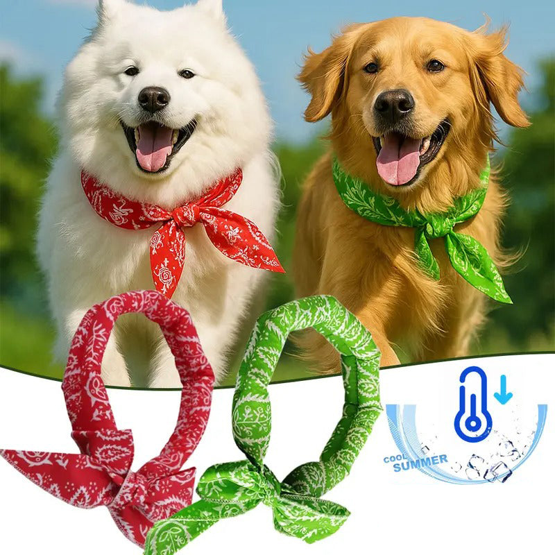 ⏰❄️ Bandana Rafraîchissant d'Été pour Animaux