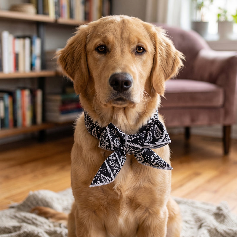 ⏰❄️ Bandana Rafraîchissant d'Été pour Animaux