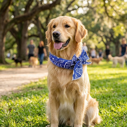 ⏰❄️ Bandana Rafraîchissant d'Été pour Animaux