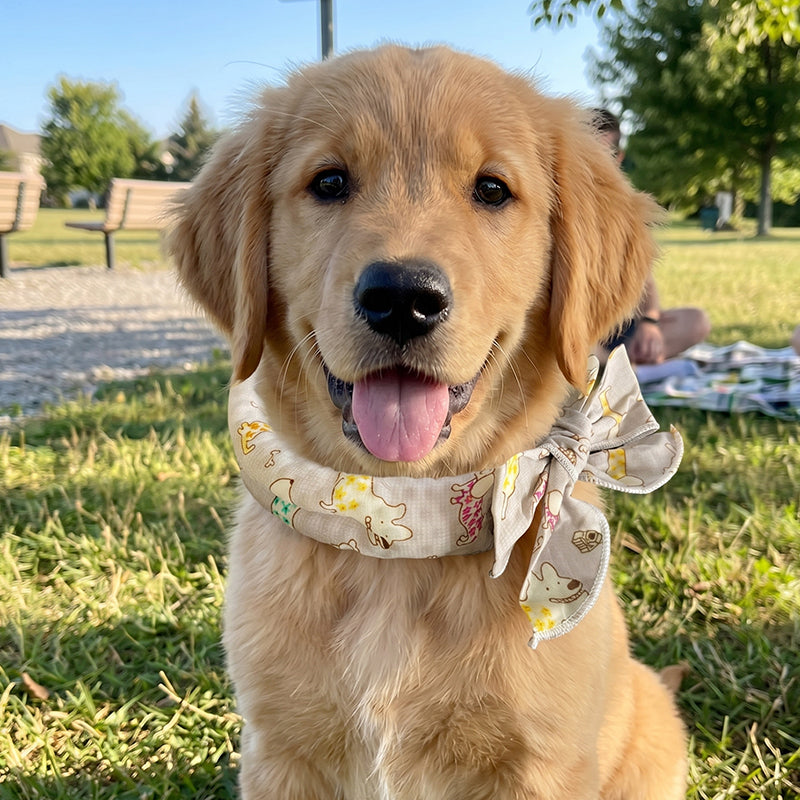 ⏰❄️ Bandana Rafraîchissant d'Été pour Animaux