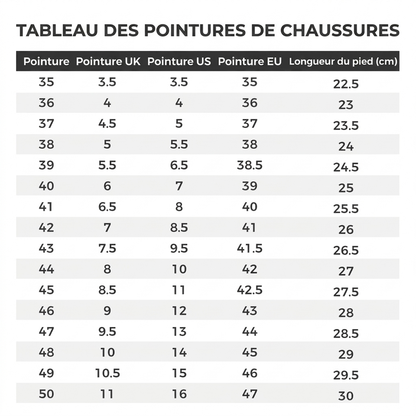 Bottes de neige d'hiver pour femmes, bottes mi-mollet épaissies pour voyages en extérieur, grandes tailles