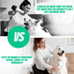 🔥Sèche-linge de toilettage 2 en 1 pour chien 🎁Livraison gratuite