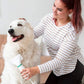 🔥Sèche-linge de toilettage 2 en 1 pour chien 🎁Livraison gratuite