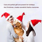 Chapeau de Noël Électrique